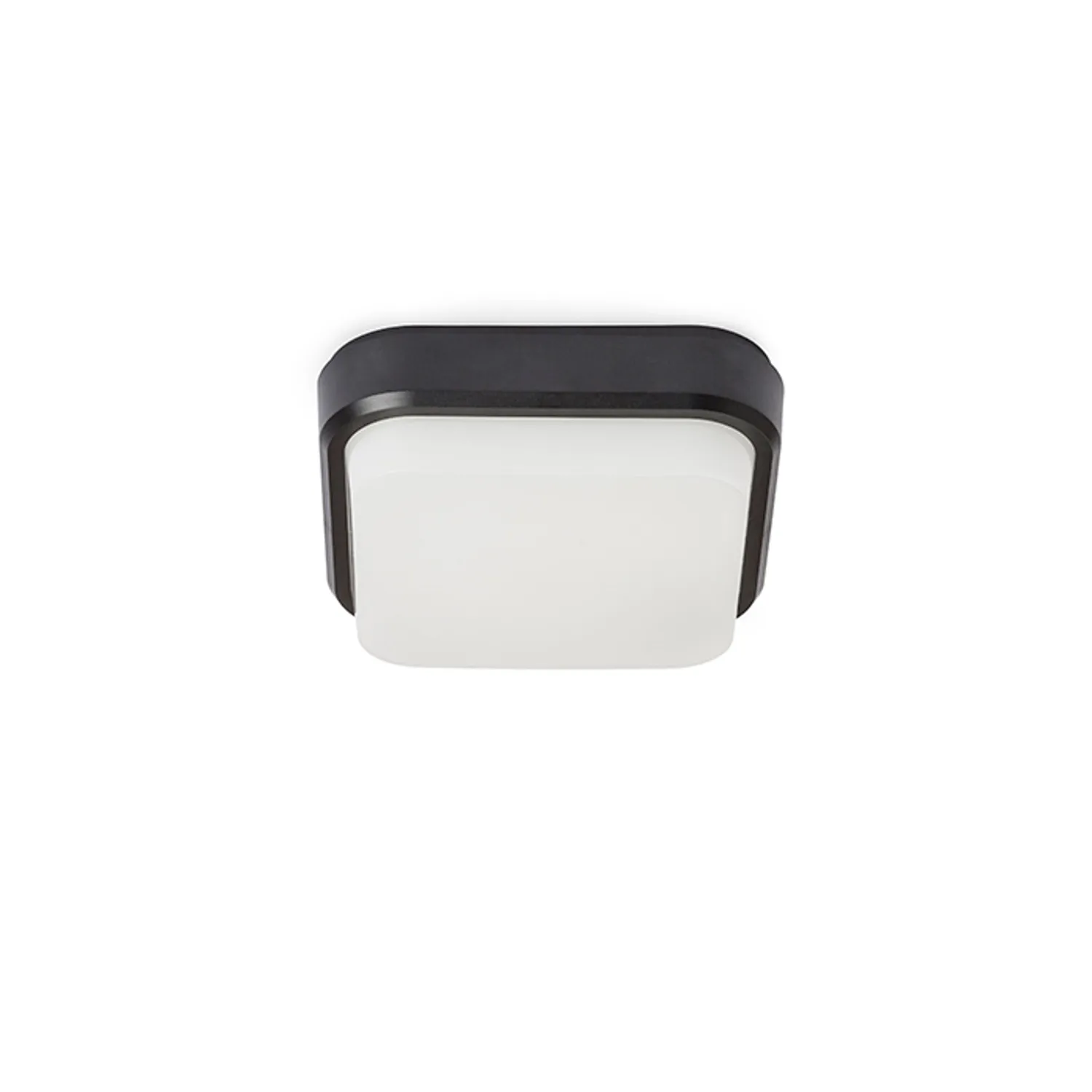 Rendl Light Studio Taris SQ 17 plafoniera LED negru