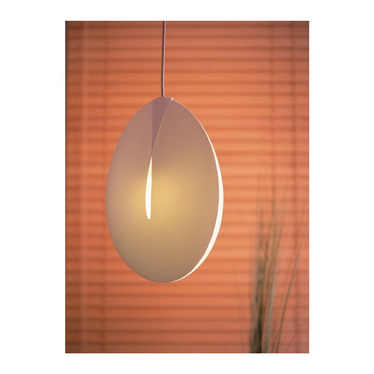 Rendl Light Studio Super Seed accesoriu plastic