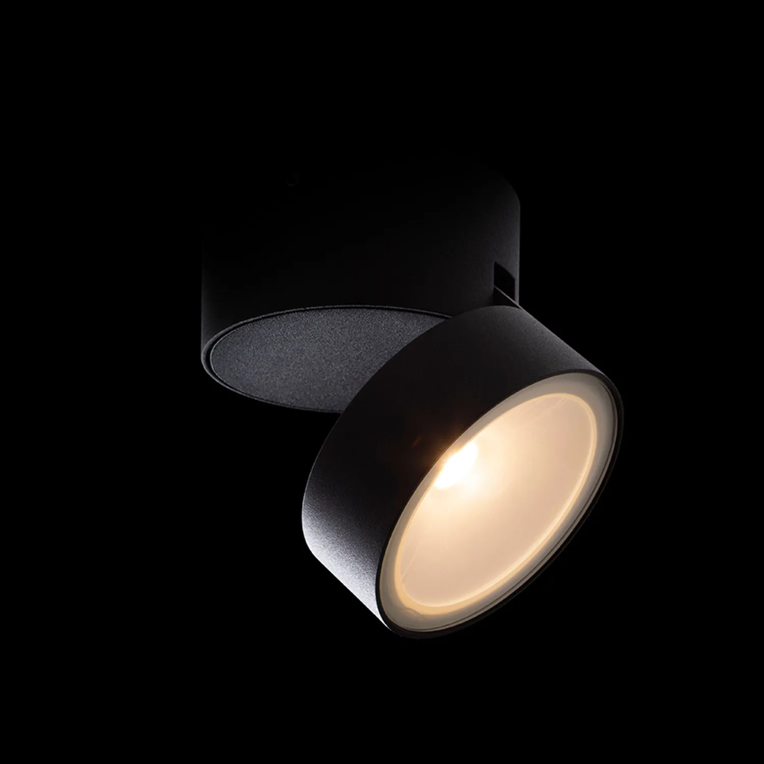 Rendl Flavio R spot exterior LED negru tiltabil