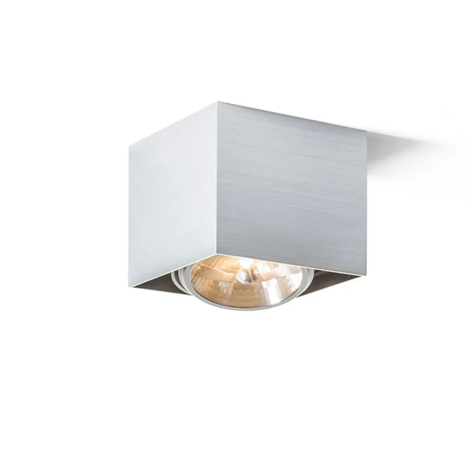 Rendl Light Studio Dean I plafoniera aluminiu periat orientabila