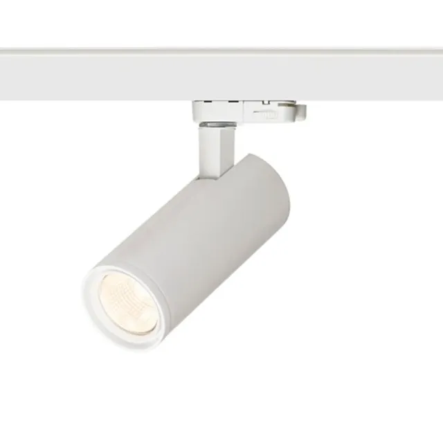 Rendl Light Studio Prodigi S spot sina alb 10W LED