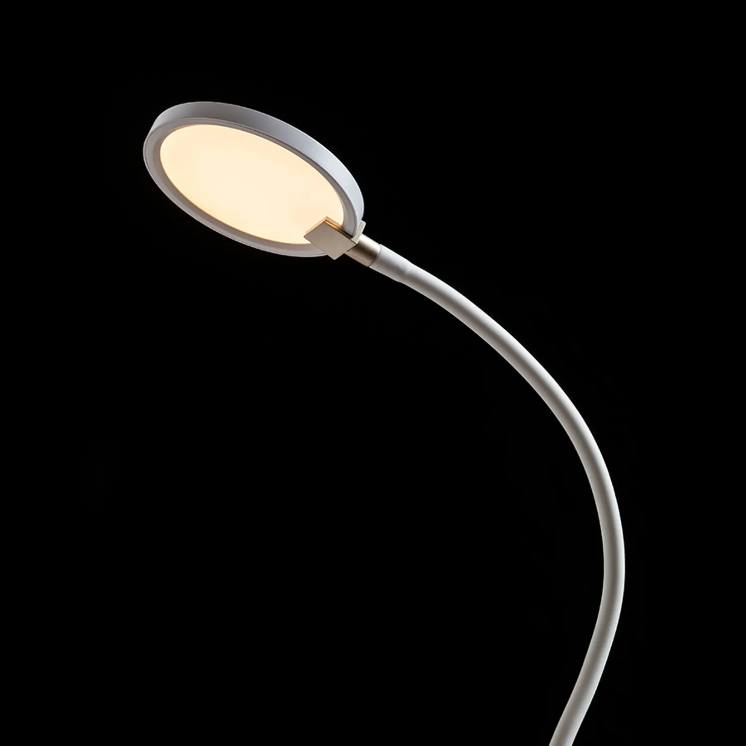 Rendl Light Studio Celeste lampadar LED alb dimabil