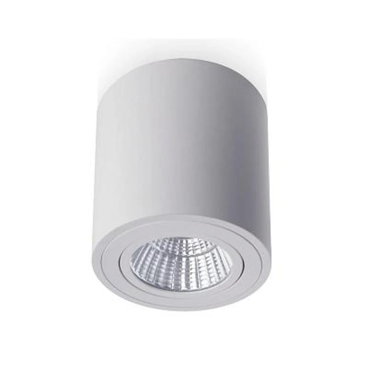 Rendl Light Studio Mayo RD spot LED alb orientabil