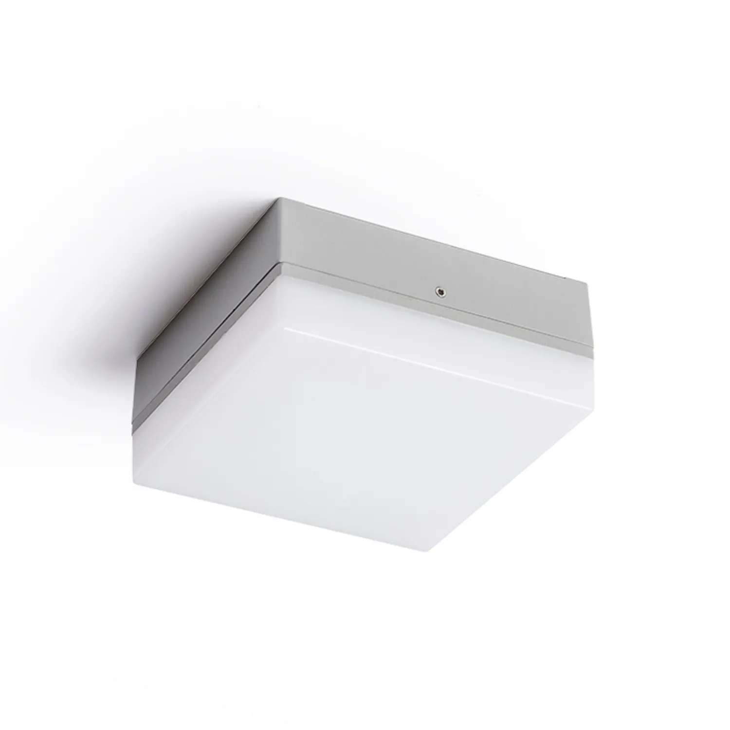 Rendl Light Studio Spectacle aplică exterior gri LED