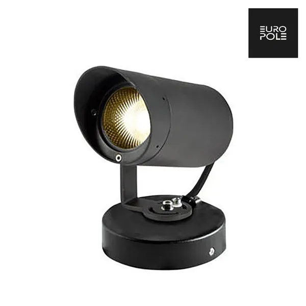 Aurora Tube 2 Spot LED exterior negru 10W 10°