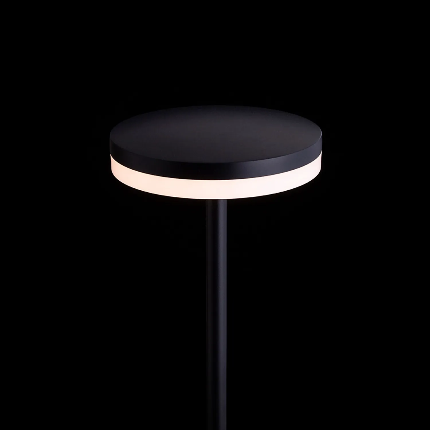 Rendl Semplice 80 lampa exterior cu tarus negru LED