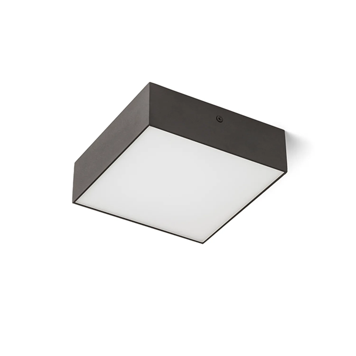 Rendl Larisa SQ 17 plafoniera LED alba