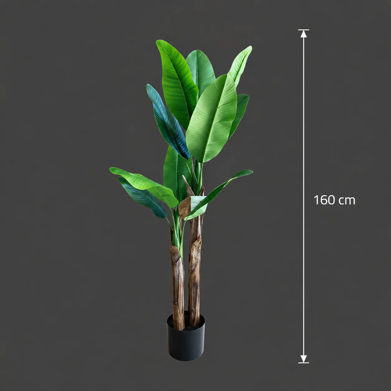 Alessandro Design Bananier Planta Artificiala 160cm