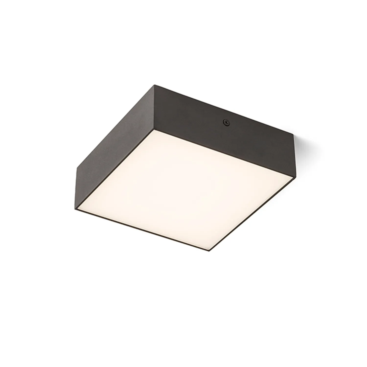 Rendl Larisa SQ 17 plafoniera LED alba