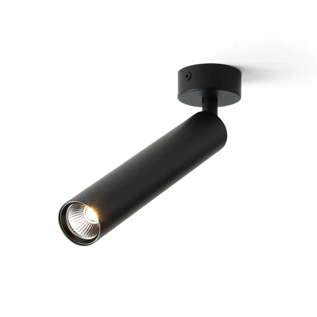 Rendl Darrin R plafoniera LED neagra