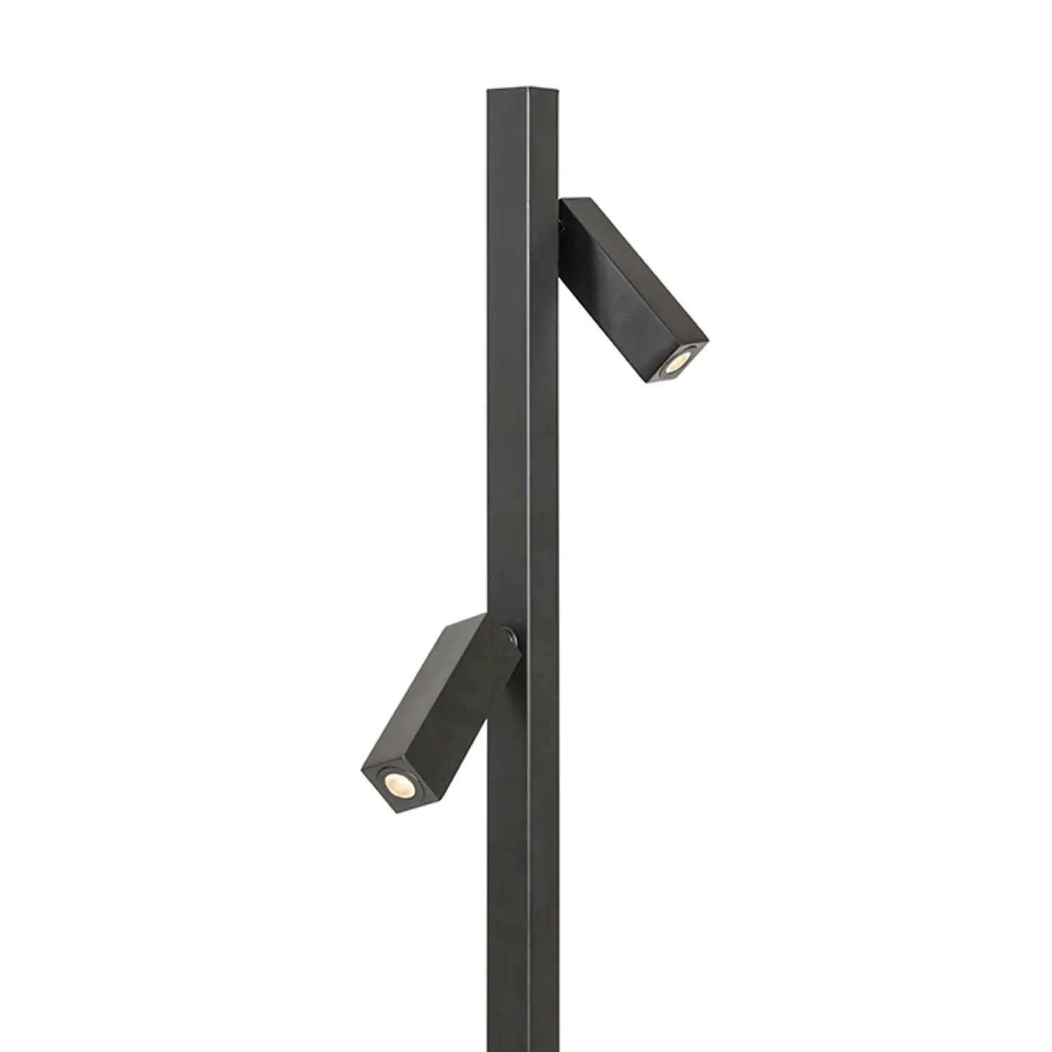 Rendl Light Studio Fado Golv lampadar negru LED orientabil