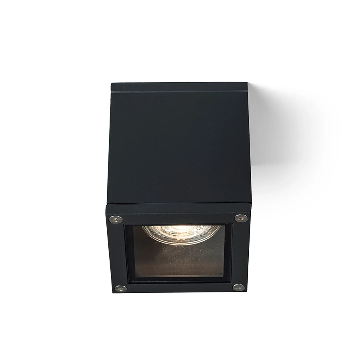 Rendl Light Studio Keig plafoniera exterior neagra GU10