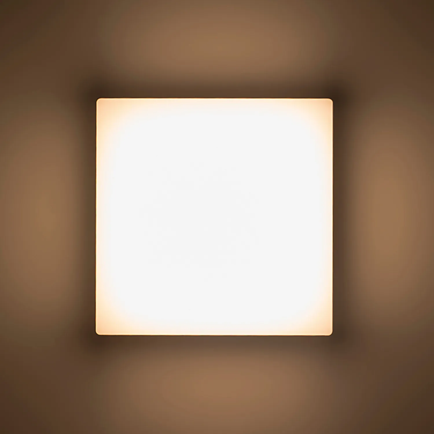 Rendl Light Studio Spectacle aplică exterior gri LED
