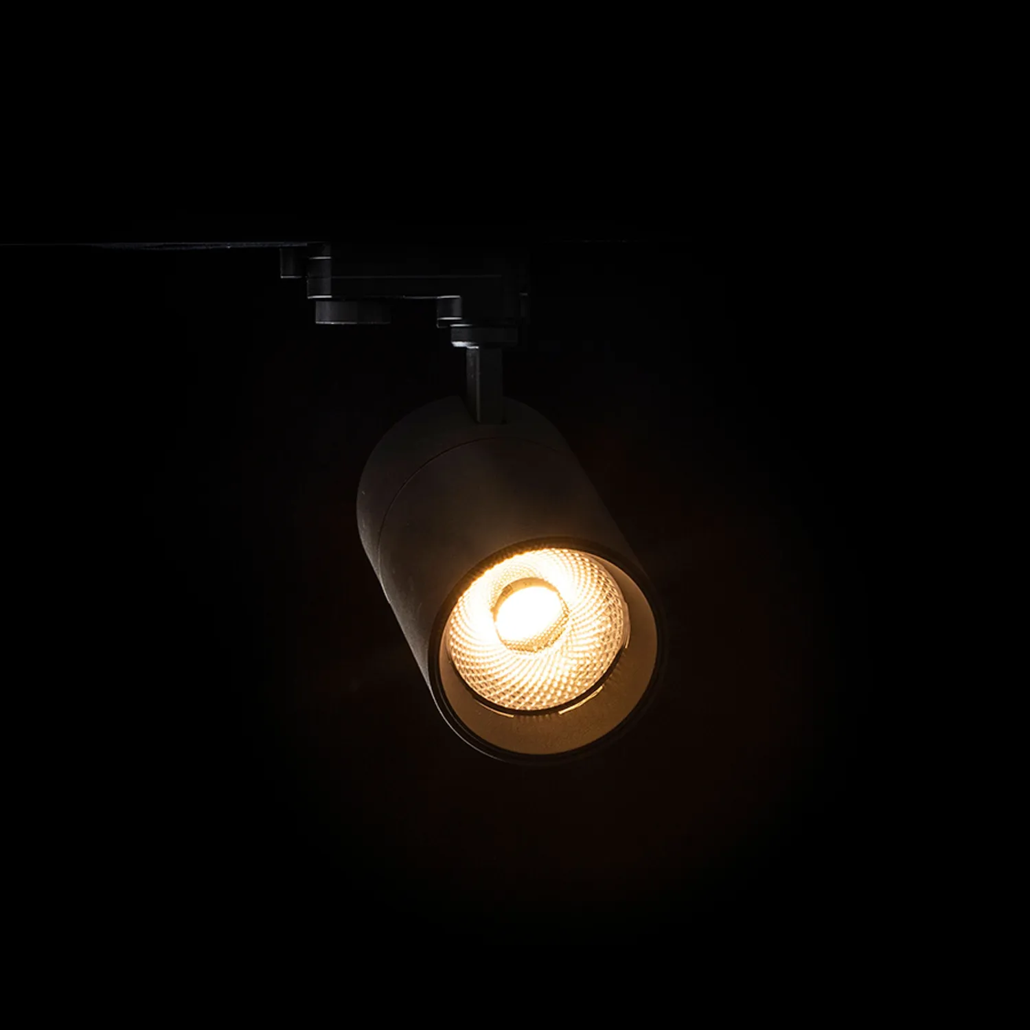 Rendl Light Studio Wish 30 spot sina 3 faze dimabil