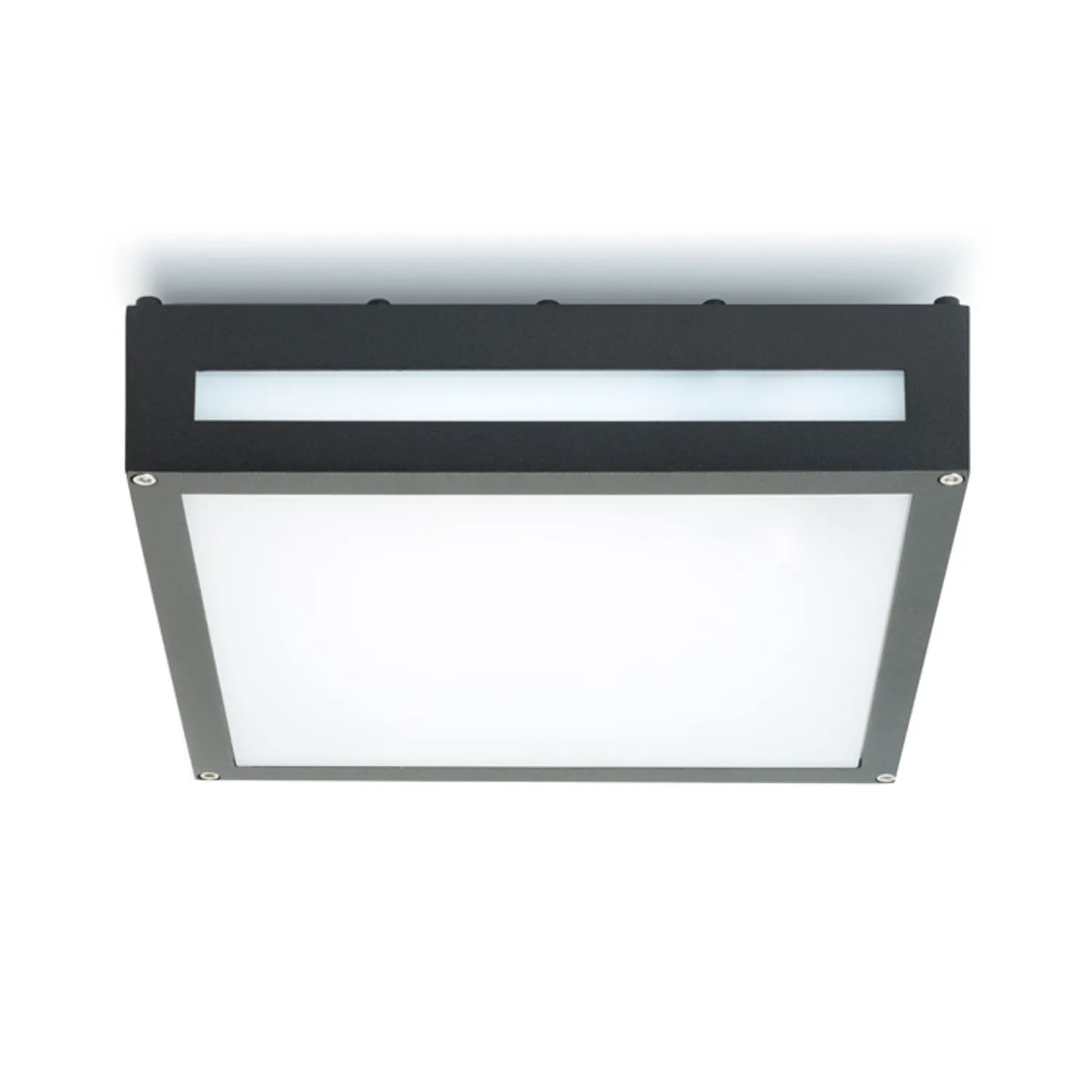 Rendl Light Studio Plaka plafoniera exterior negru aluminiu