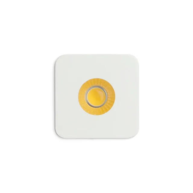 Rendl Light Studio Rio SQ lampa marcaj perete alba LED