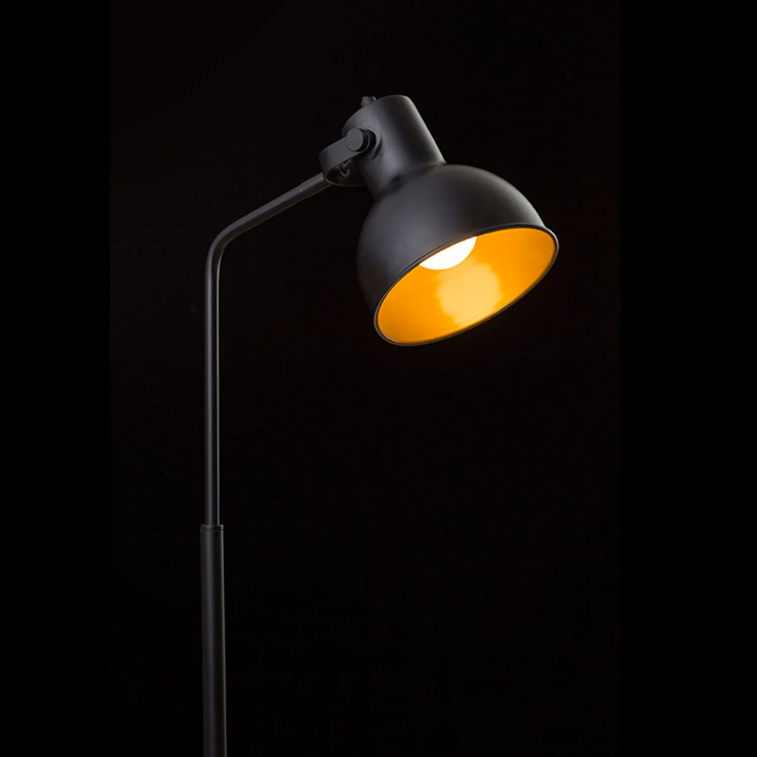Rendl Light Studio Rosita Lampadar negru auriu E27
