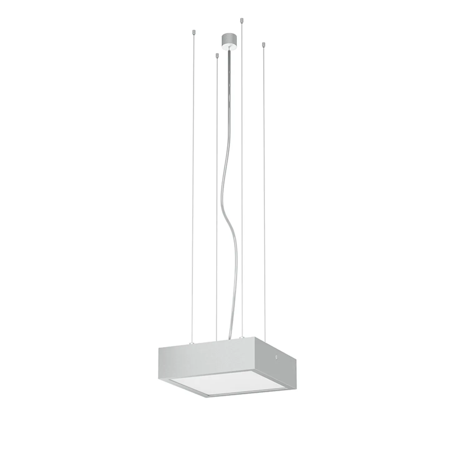 Rendl Light Studio Structural pendul LED aluminiu 20x20