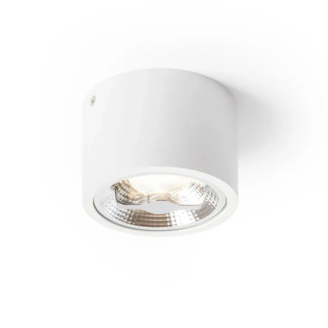 Rendl Light Studio Kelly LED plafoniera dimabila alba