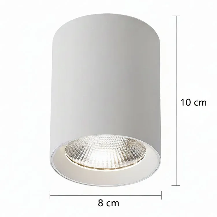 Alessandro Design TINNIE proiector LED 8W alb 4000K