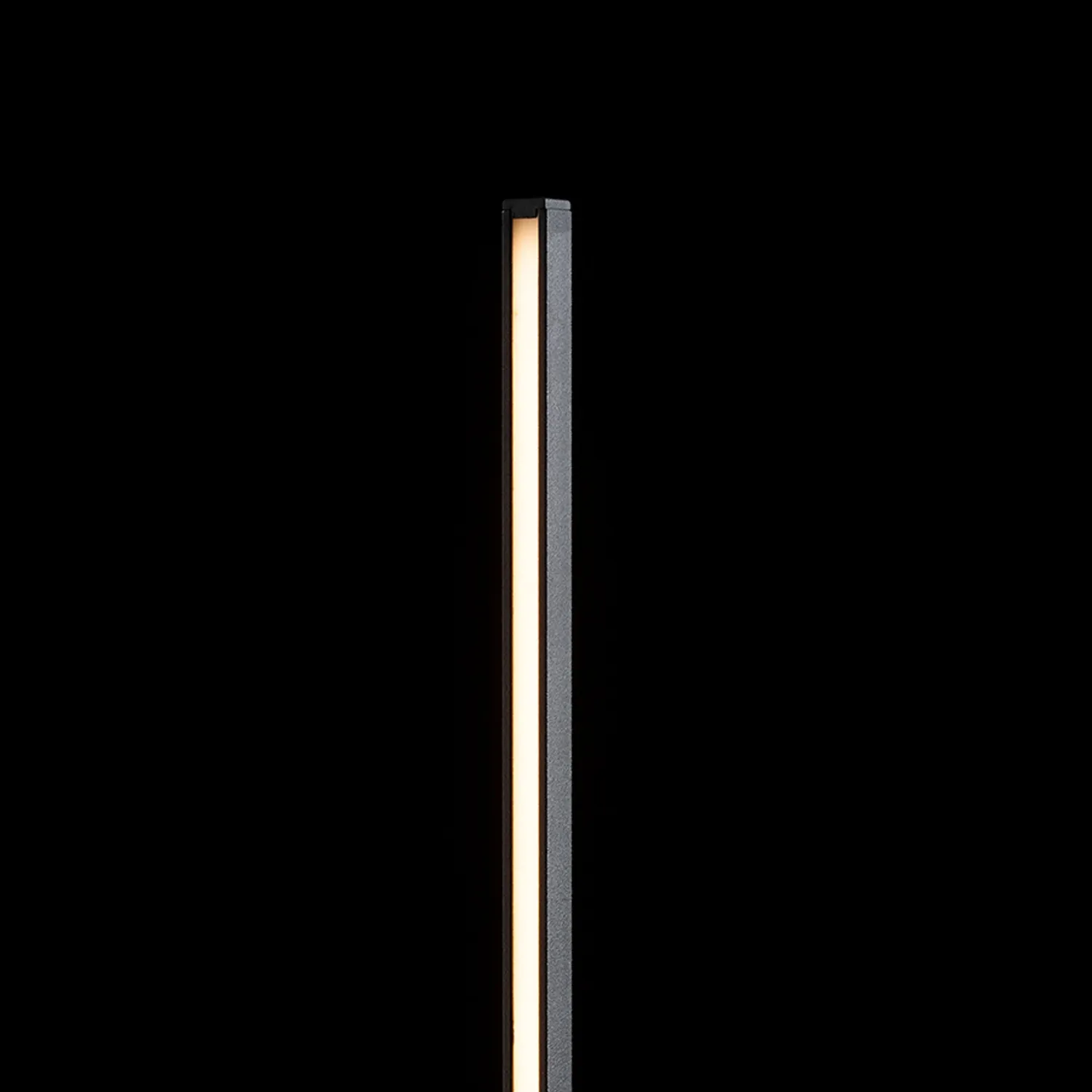 Rendl Anemona 120 lampadar LED negru lateral