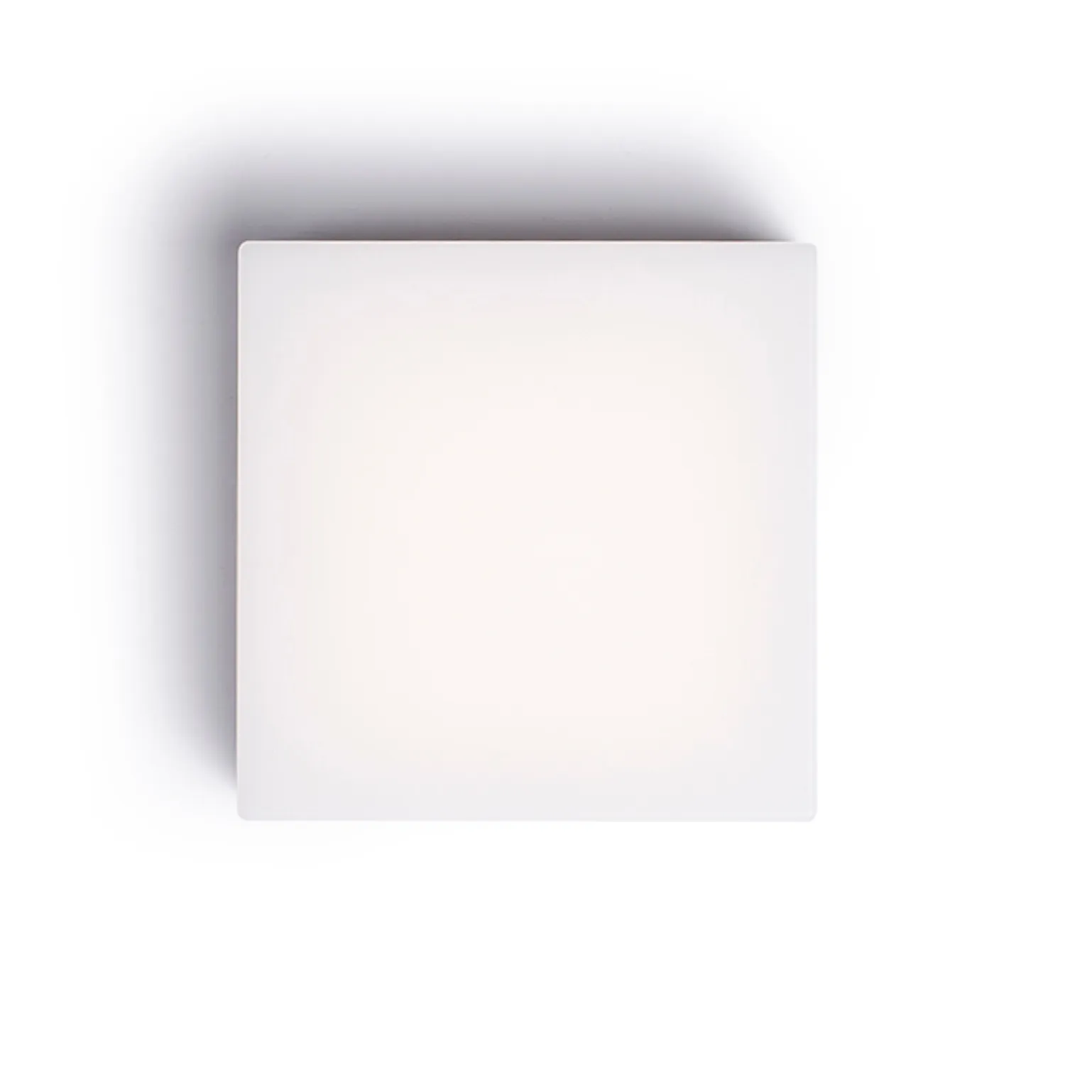 Rendl Light Studio Spectacle aplică exterior gri LED
