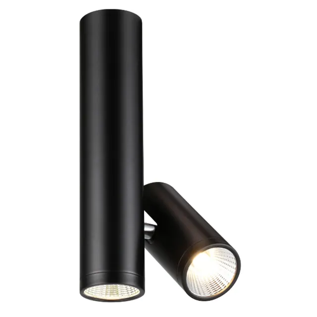 Rendl Bogard Twin plafoniera LED negru mat