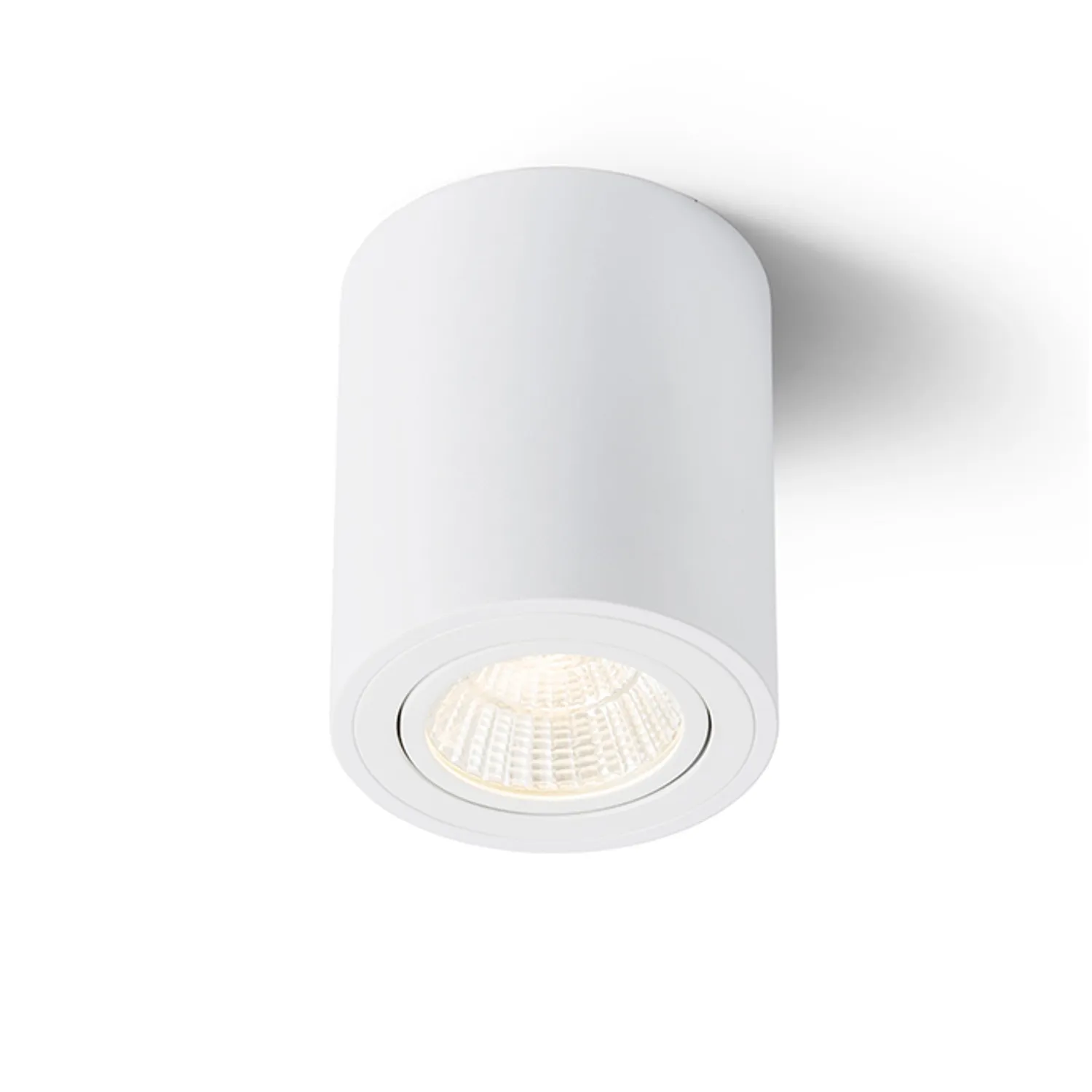 Rendl Light Studio Mayo RD spot LED alb orientabil