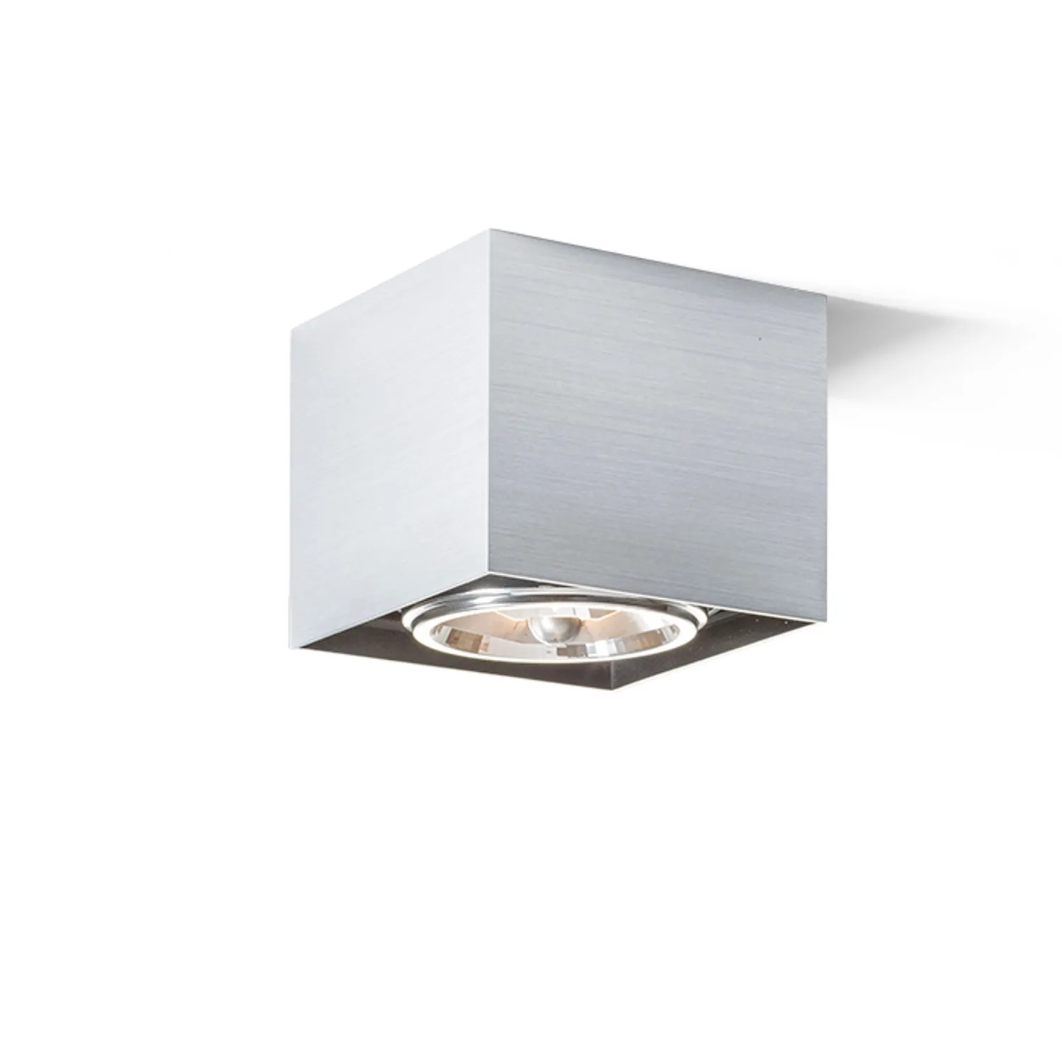Rendl Light Studio Dean I plafoniera aluminiu periat orientabila