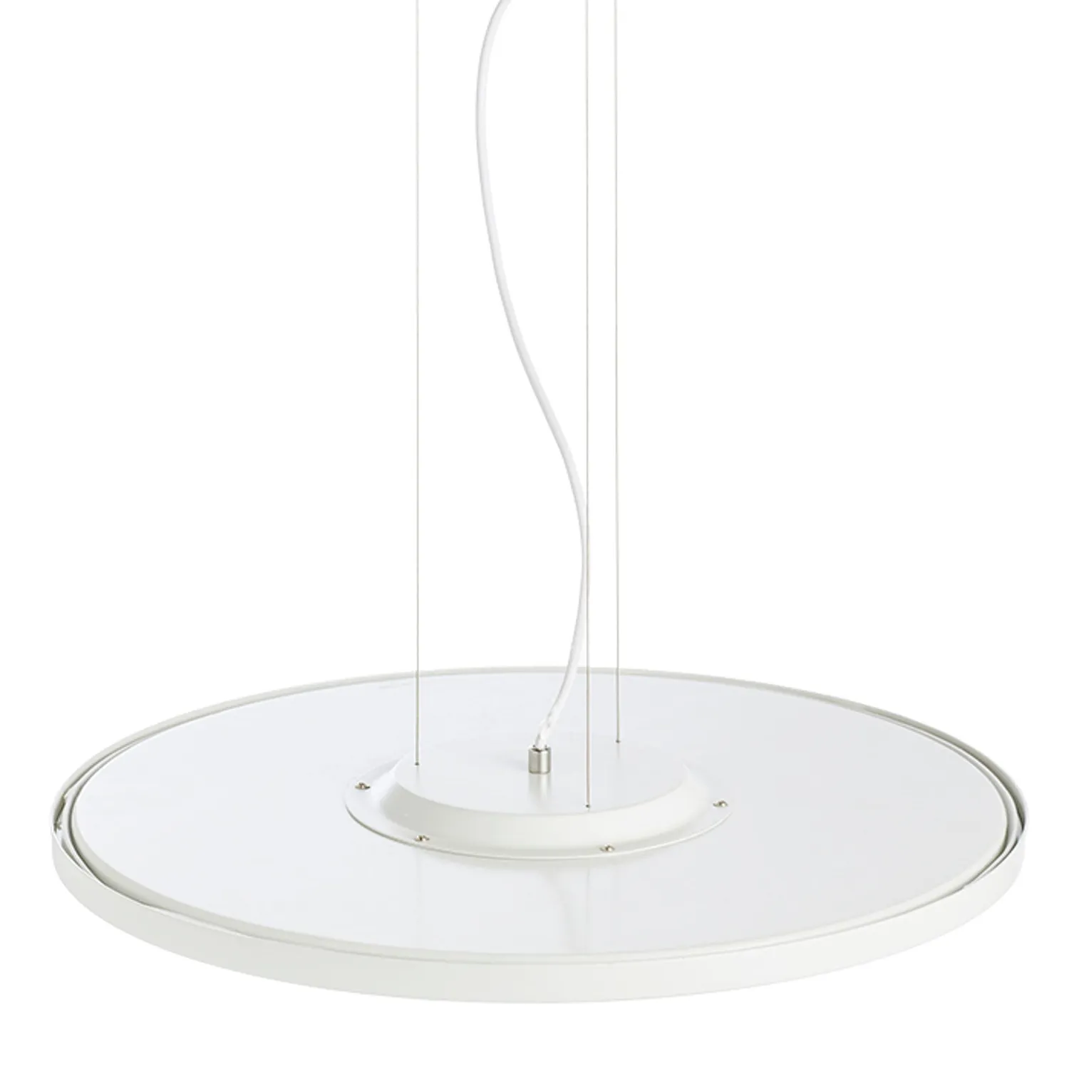 Rendl Light Studio Moneta pendul LED alb dimabil TRIAC