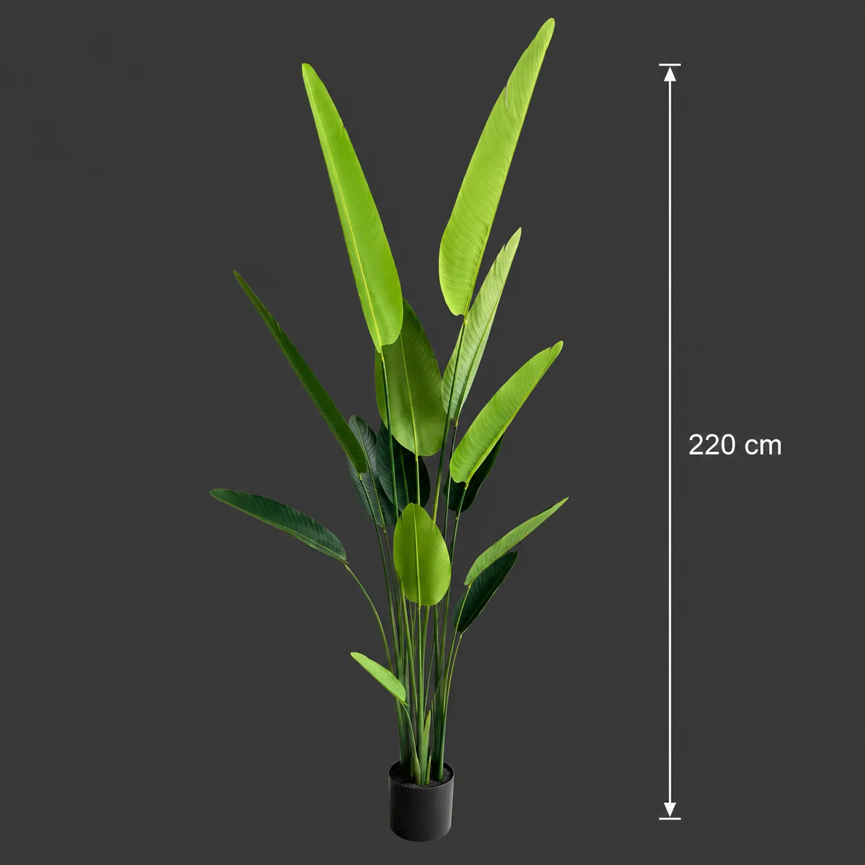 Alessandro Design Strelitzia plantă artificială 220cm