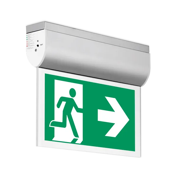 Aurora corp urgenta LED montaj tavan aluminiu 3h