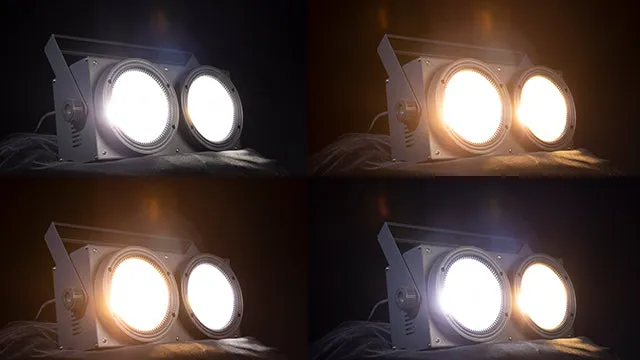 Shehds Blinder LED COB 2 ochiuri 200W alb cald rece