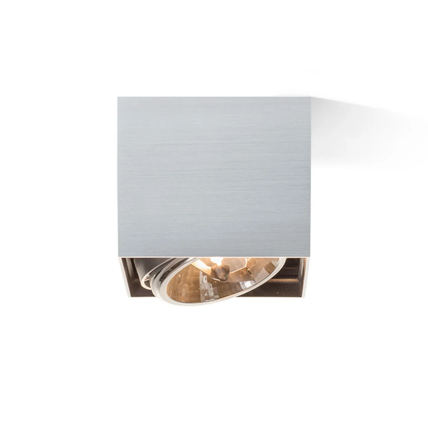 Rendl Light Studio Dean I plafoniera aluminiu periat orientabila