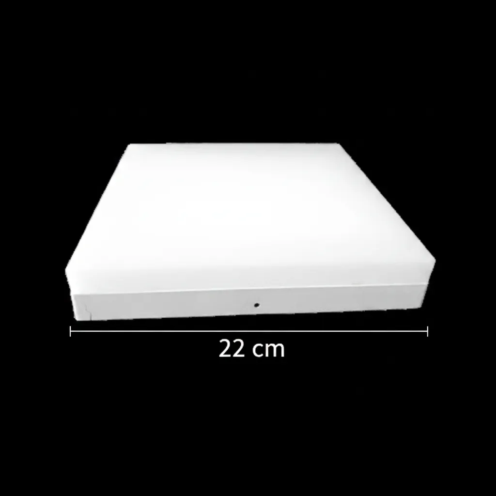 Alessandro Design PL200/12P plafoniera LED 19W lumina rece