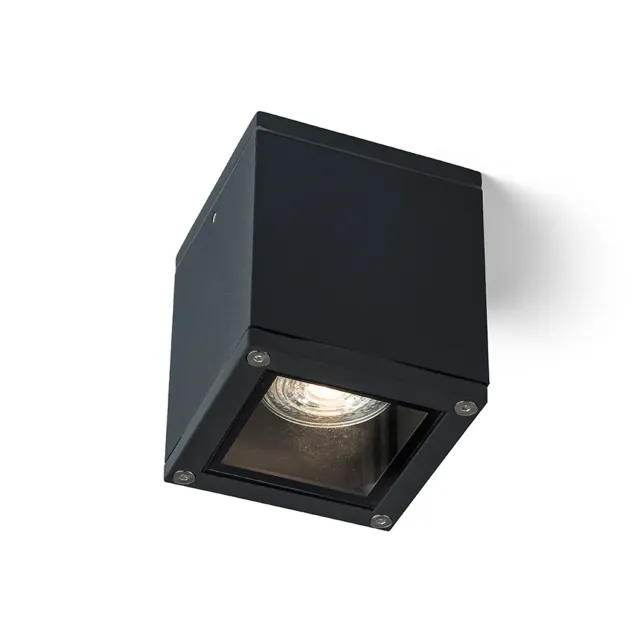 Rendl Light Studio Keig plafoniera exterior neagra GU10