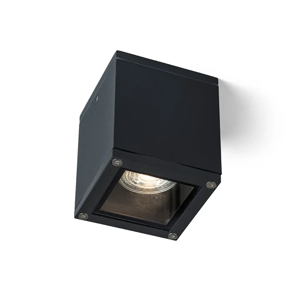 Rendl Light Studio Keig plafoniera exterior neagra GU10