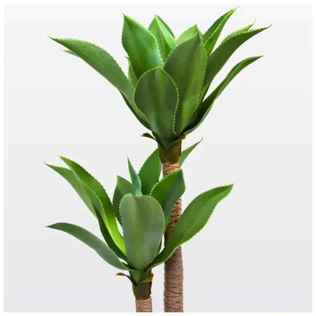 Alessandro Design Dracaena fragrans Planta artificiala 140cm Verde