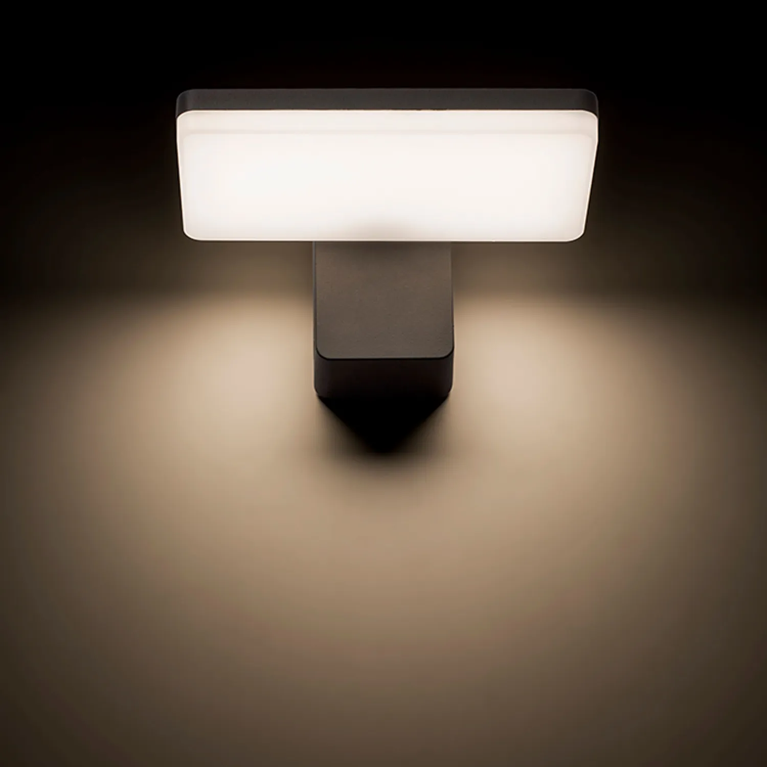 Rendl Rina aplica exterior LED antracit