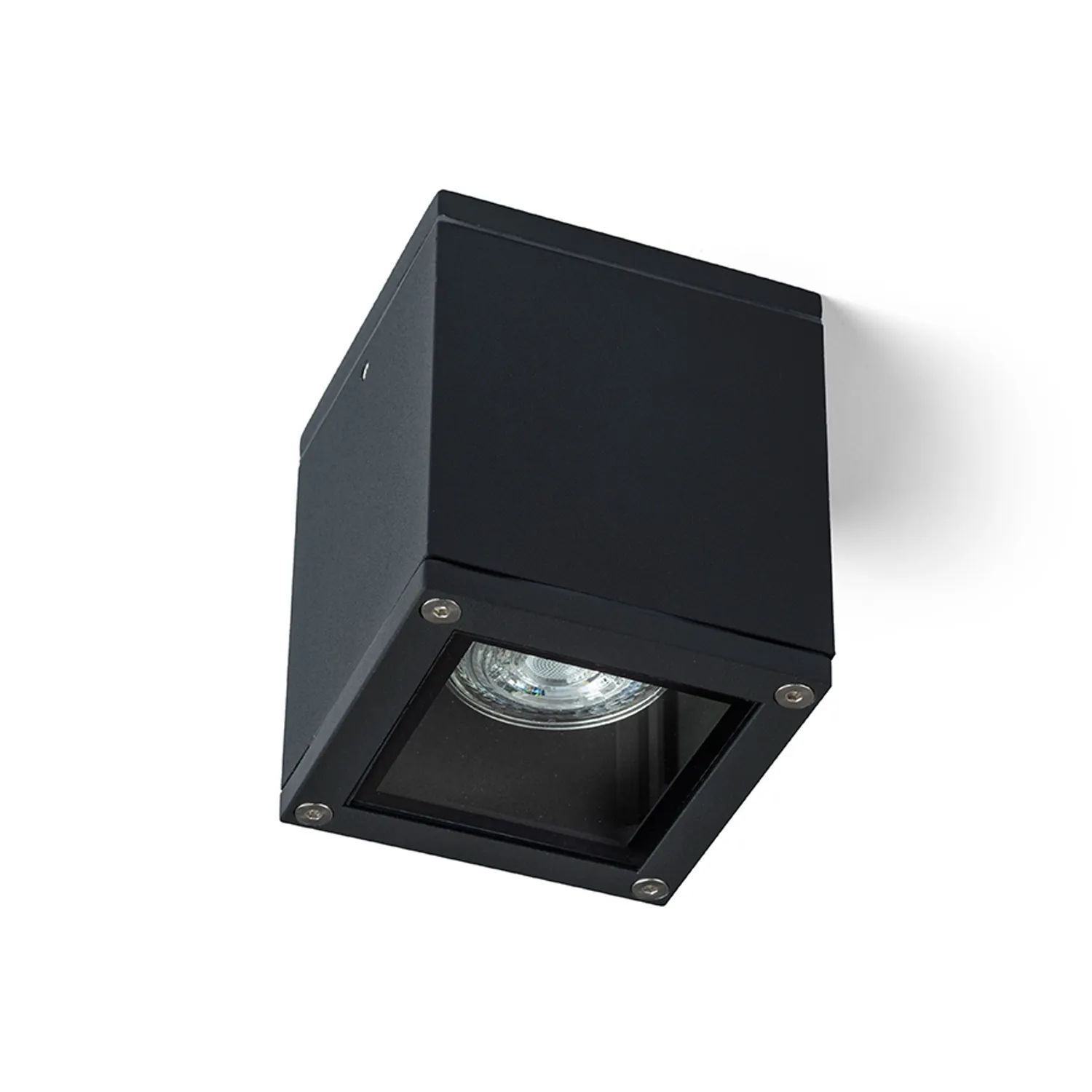 Rendl Light Studio Keig plafoniera exterior neagra GU10