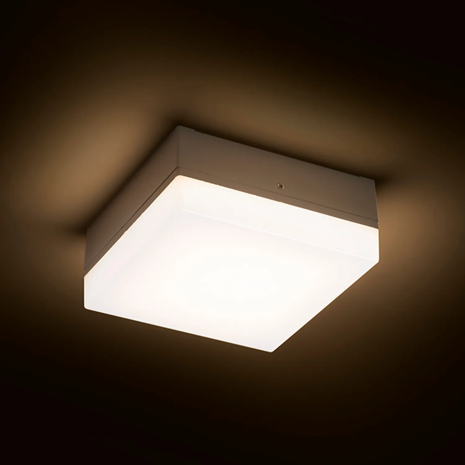 Rendl Light Studio Spectacle aplică exterior gri LED