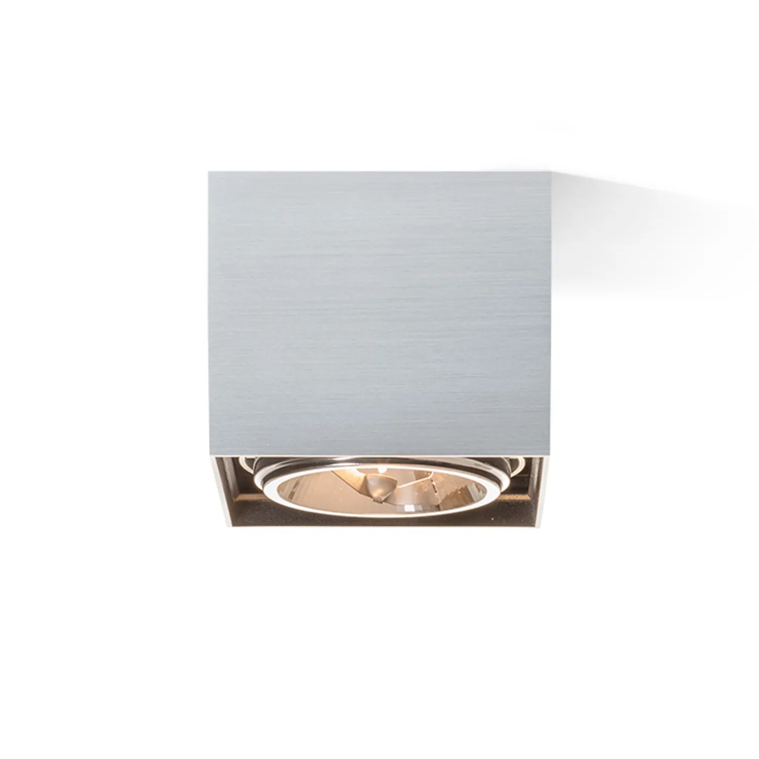 Rendl Light Studio Dean I plafoniera aluminiu periat orientabila