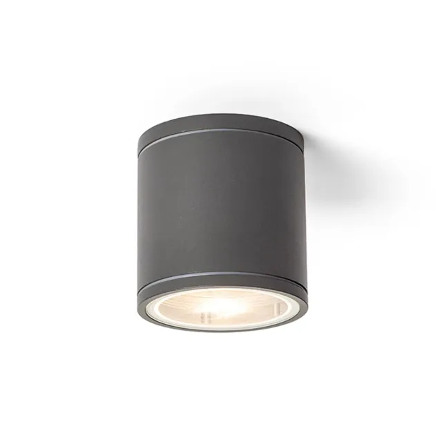 Rendl Light Studio Lizzi plafonieră exterior GU10 antracit