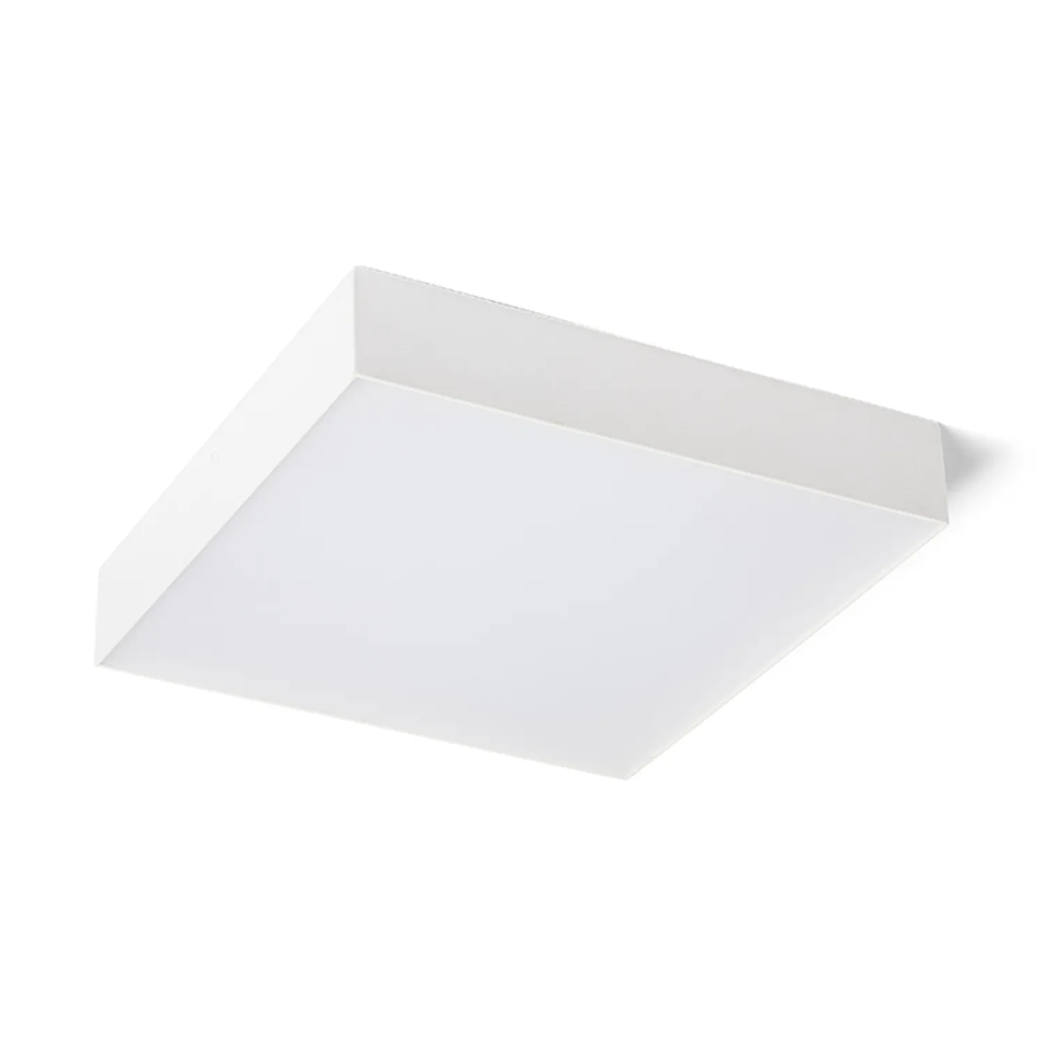 rendl light studio Larisa SQ 30 plafoniera LED alba