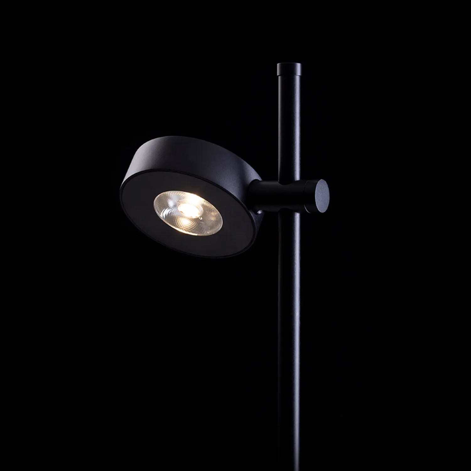 Rendl Katona spot gradina cu tarus negru LED