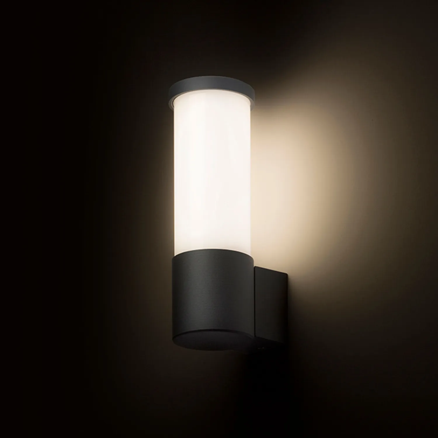 Rendl Garret W aplica exterior LED antracit