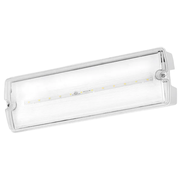 Aurora corp iluminat urgență 3W bulkhead 3h test manual