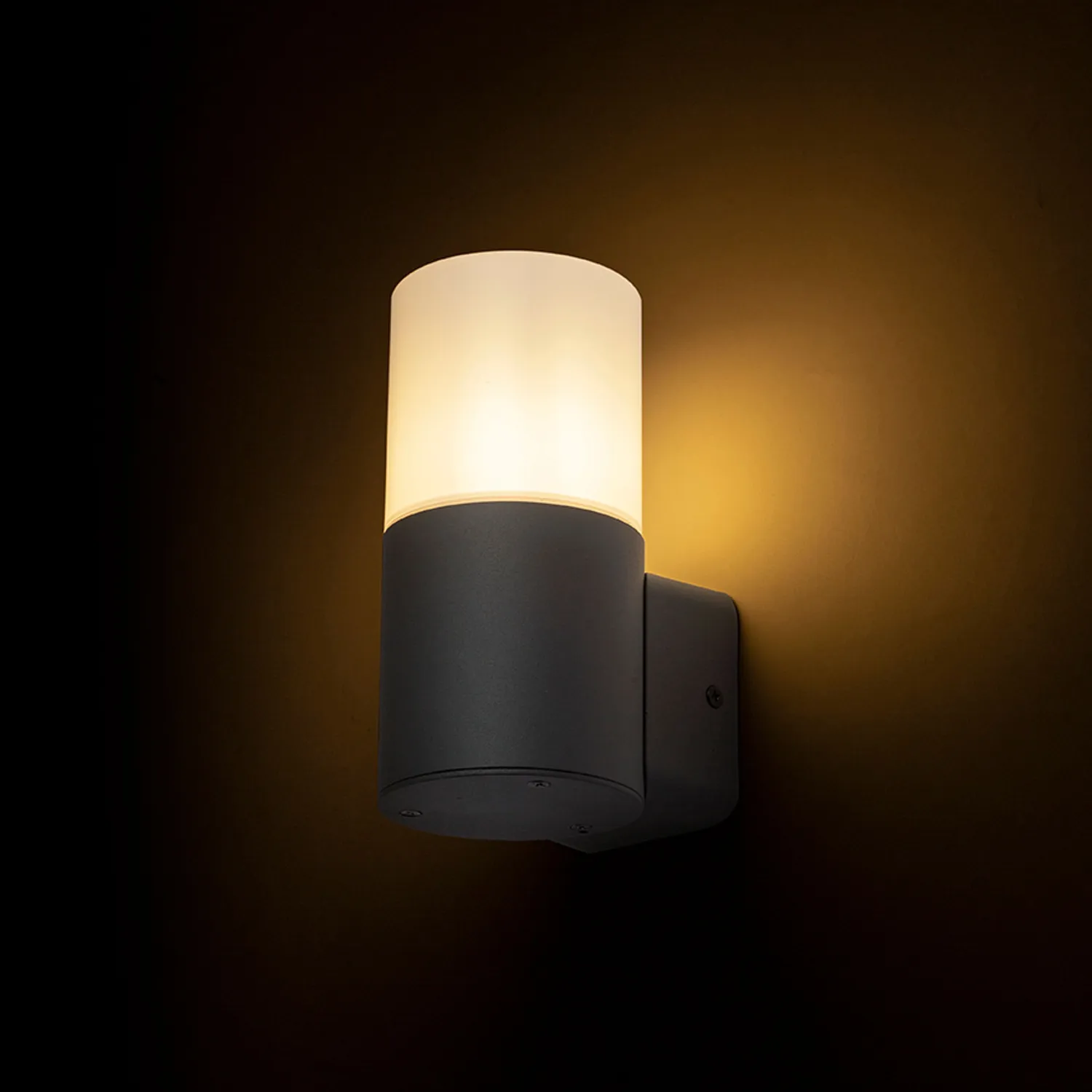 rendl light studio bonnie aplica perete exterior E27 opal